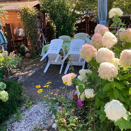 Apartament Gaestewohnung 25 *